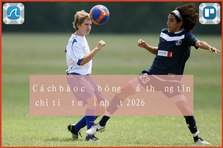 Cách bào cỏ bóng đá thông tin chi tiết mới nhất 2026